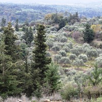 Land plot in Greece, Crete, Chania