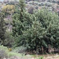 Land plot in Greece, Crete, Chania