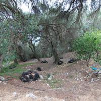 Land plot in Greece, Ionian Islands