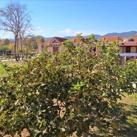 Townhouse in Greece, Central Macedonia, Center, 73 sq.m.