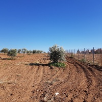 Land plot in Greece, Central Macedonia, Center