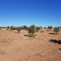 Land plot in Greece, Central Macedonia, Center