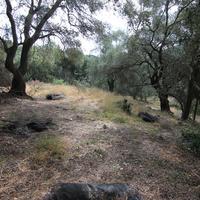 Land plot in Greece, Ionian Islands