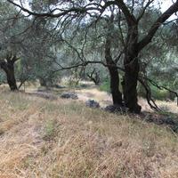 Land plot in Greece, Ionian Islands