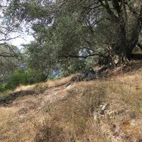 Land plot in Greece, Ionian Islands