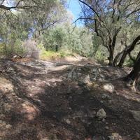 Land plot in Greece, Ionian Islands