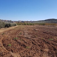 Земельный участок в Греции, Центральная Македония, Центр