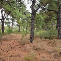 Земельный участок в Греции, Центральная Македония, Хал