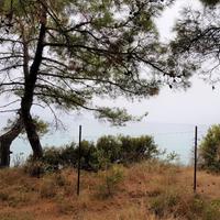 Земельный участок в Греции, Центральная Македония, Хал