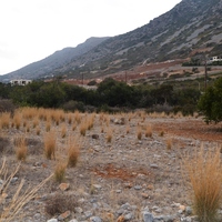 Land plot in Greece, Crete