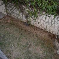 Таунхаус в Греции, Ионические острова, 290 кв.м.