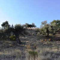 Land plot in Greece, Crete