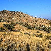Land plot in Greece, Crete