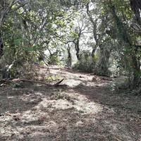 Land plot in Greece, Ionian Islands