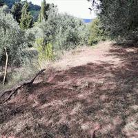 Land plot in Greece, Ionian Islands