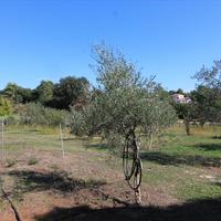 Land plot in Greece, Ionian Islands