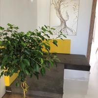 Business center in Greece, Central Macedonia, Center, 240 sq.m.