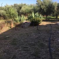 Другое в Греции, Пелопоннес, 180 кв.м.