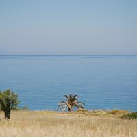 Land plot in Greece, Crete, 4000 sq.m.