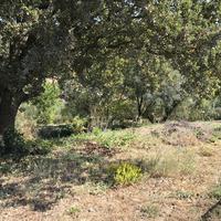Land plot in Greece, Ionian Islands