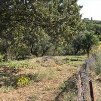 Land plot in Greece, Ionian Islands