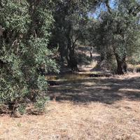 Land plot in Greece, Ionian Islands