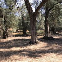 Land plot in Greece, Ionian Islands