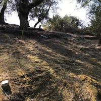 Land plot in Greece, Ionian Islands