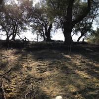 Land plot in Greece, Ionian Islands