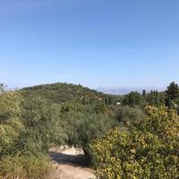 Land plot in Greece, Ionian Islands