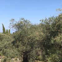 Land plot in Greece, Ionian Islands