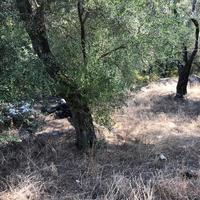 Land plot in Greece, Ionian Islands