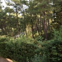 Flat in Greece, Ionian Islands, 48 sq.m.