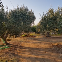 Other in Greece, Central Macedonia, Center, 102 sq.m.