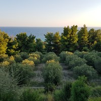 Other in Greece, Central Macedonia, Center, 150 sq.m.