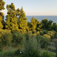 Other in Greece, Central Macedonia, Center, 150 sq.m.