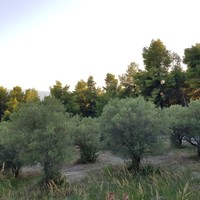 Other in Greece, Central Macedonia, Center, 150 sq.m.