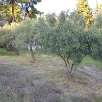 Other in Greece, Central Macedonia, Center, 150 sq.m.