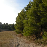 Land plot in Greece, Central Macedonia, Center
