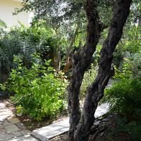 Other in Greece, Attica, Athens, 122 sq.m.