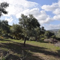 Земельный участок в Греции, Крит