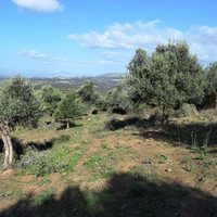 Земельный участок в Греции, Крит