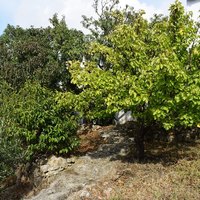 Другое в Греции, Крит, 120 кв.м.