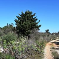 Land plot in Greece, Crete, Chania