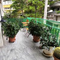 Другое в Греции, Аттика, Афины, 176 кв.м.