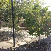 Other in Greece, 73 sq.m.