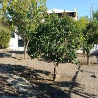 Other in Greece, 73 sq.m.