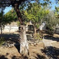 Other in Greece, 73 sq.m.