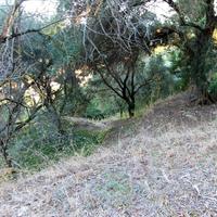 Land plot in Greece, Ionian Islands