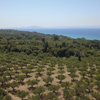 Land plot in Greece, Peloponnese, Ili